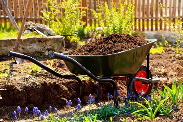 Bulk Fill Dirt Delivery